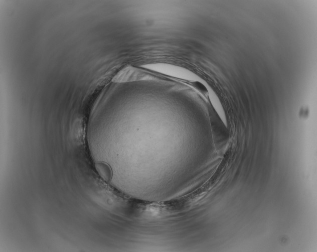 X0000090930420200708131457