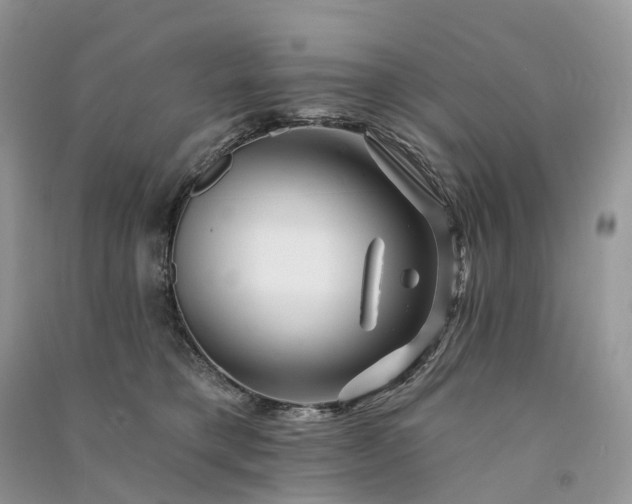 X0000090930421200708131457