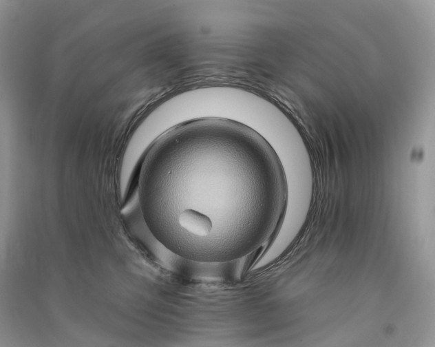 X0000090930423200708131457