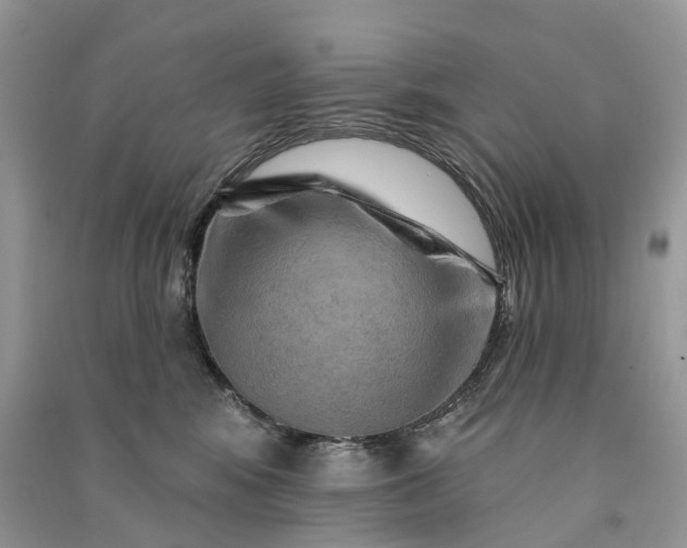 X0000090930424200708131457