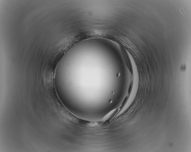 X0000090930425200708131457