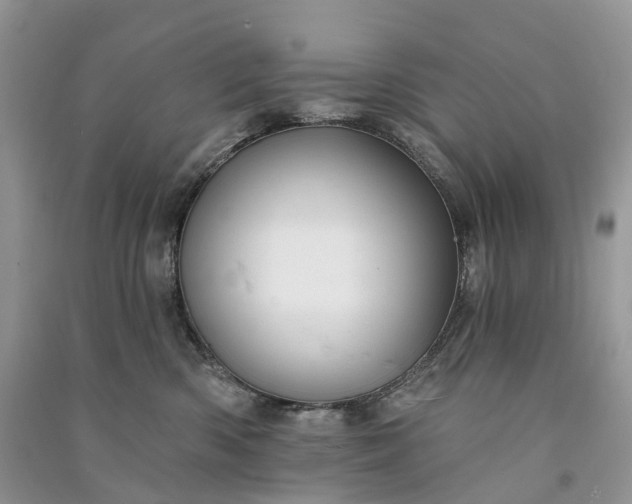 X0000090930426200708131457