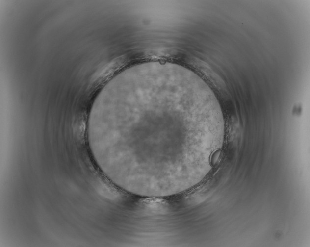 X0000090930427200708131457