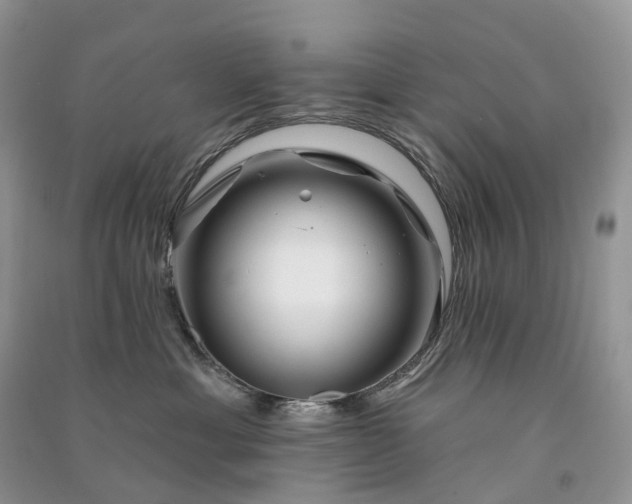 X0000090930429200708131457