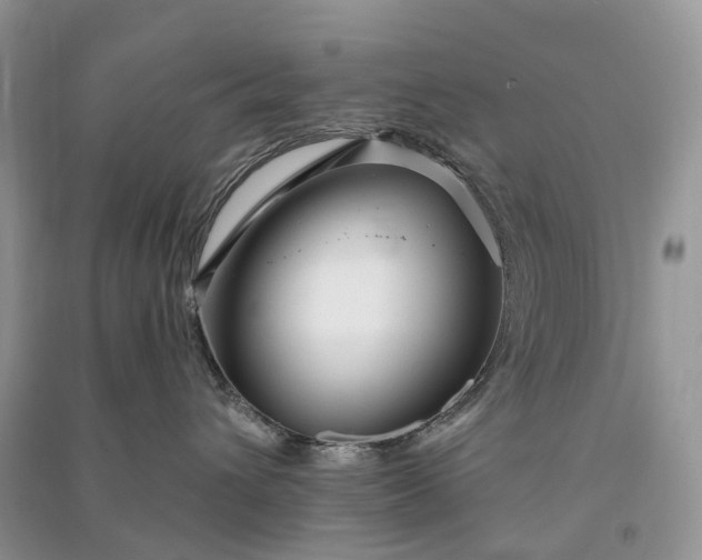 X0000090930432200708131457