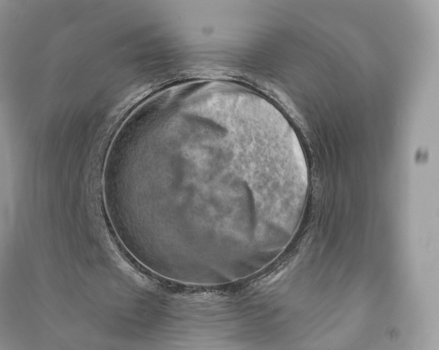 X0000090930433200708131457