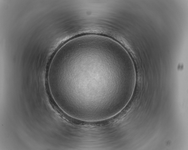 X0000090930434200708131457