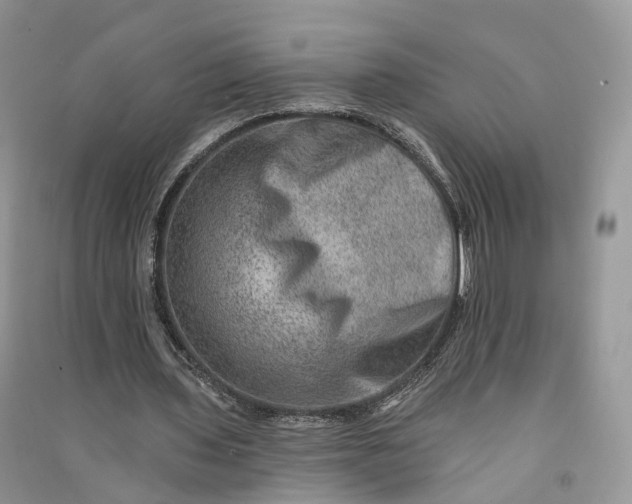 X0000090930435200708131457