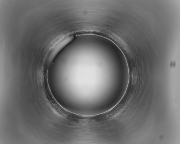 X0000090930436200708131457