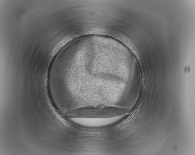 X0000090930437200708131457