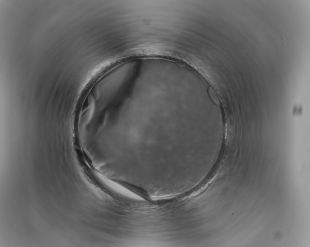 X0000090930438200708131457