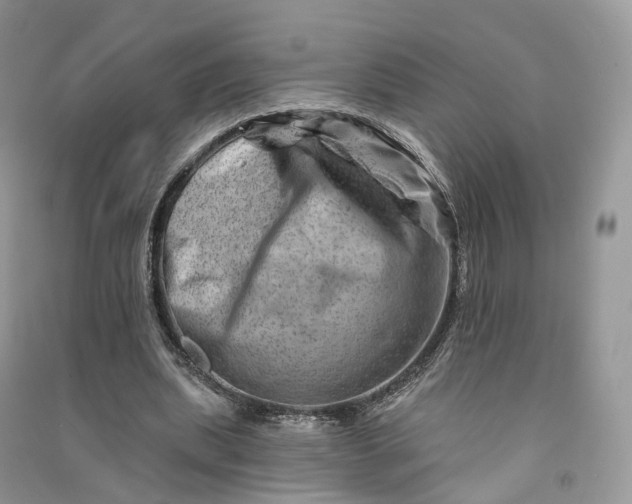 X0000090930439200708131457