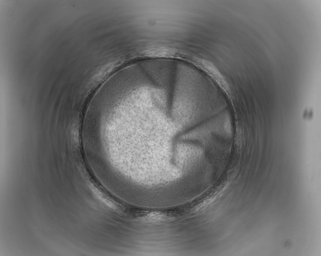 X0000090930441200708131457