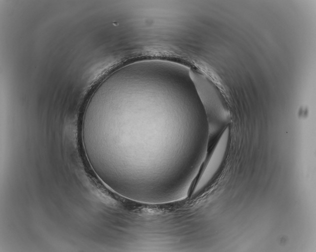 X0000090930442200708131457