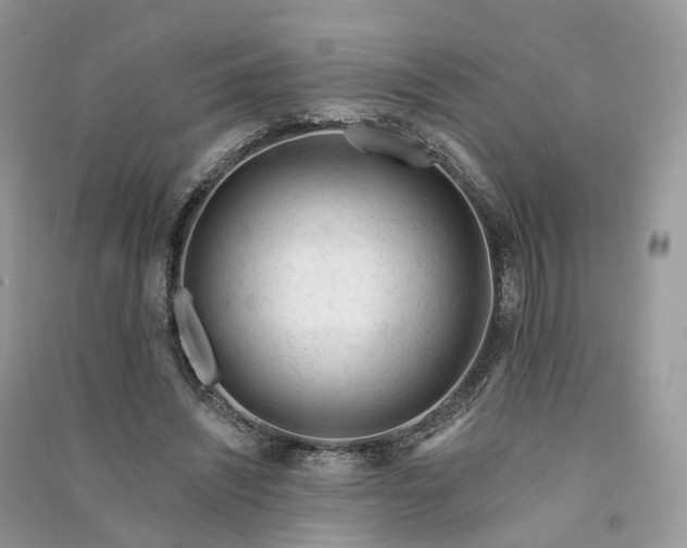 X0000090930444200708131457