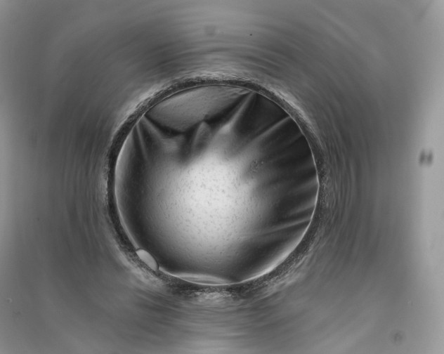 X0000090930446200708131457