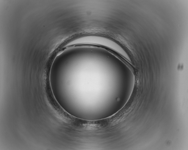 X0000090930448200708131457