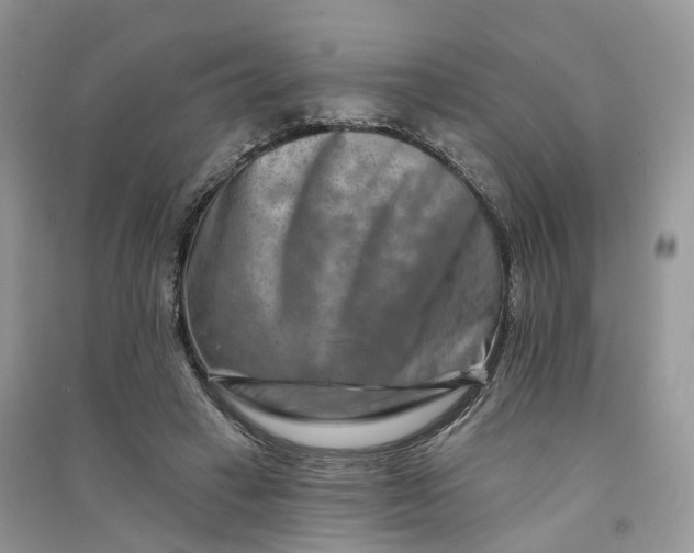 X0000090930449200708131457