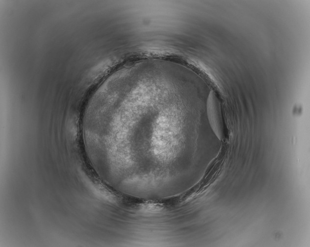 X0000090930451200708131457