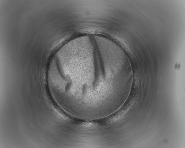 X0000090930453200708131457