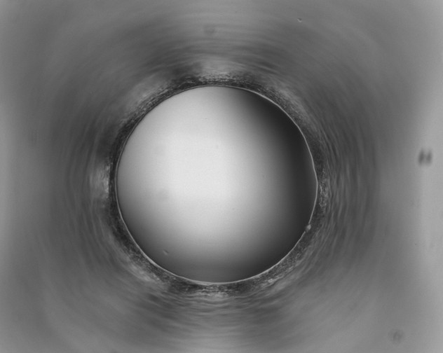 X0000090930454200708131457