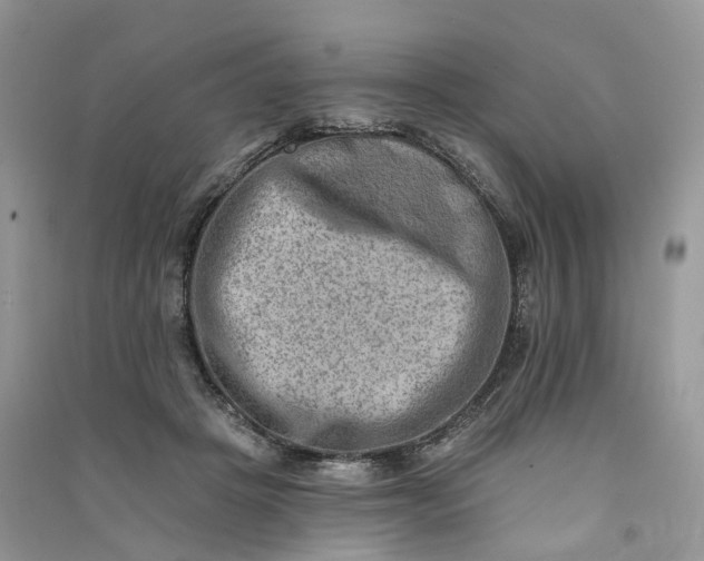 X0000090930457200708131457