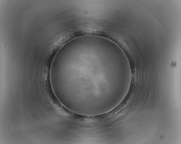 X0000090930458200708131457