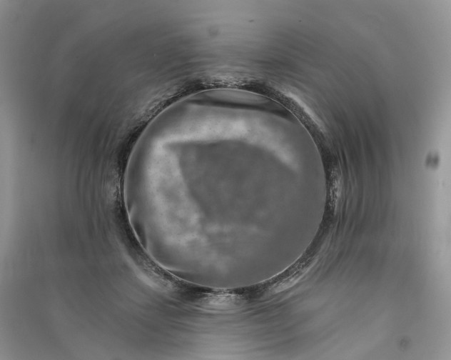 X0000090930459200708131457