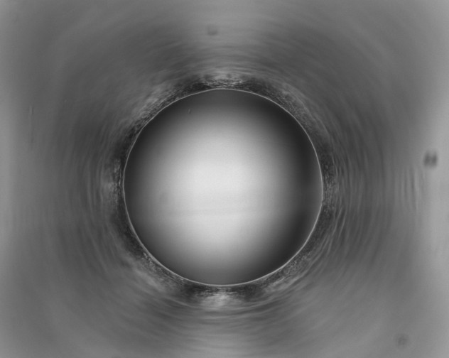 X0000090930460200708131457