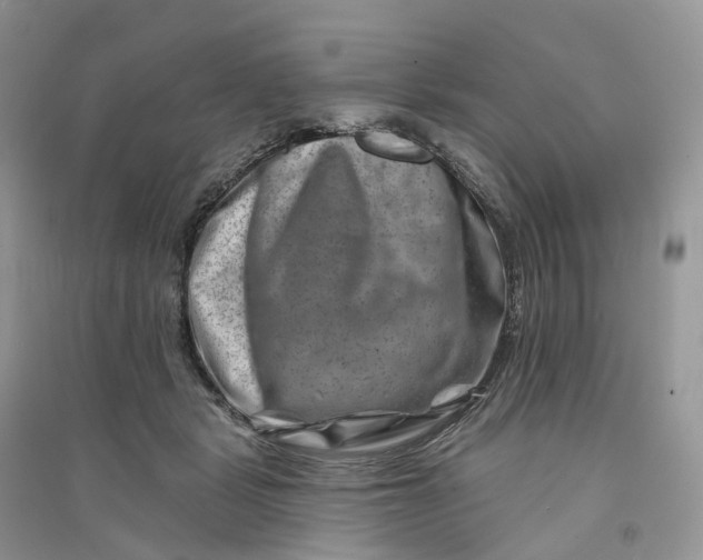 X0000090930461200708131457