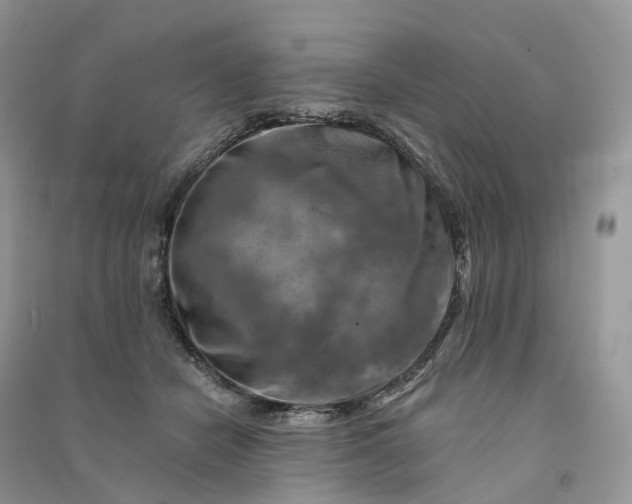 X0000090930462200708131457