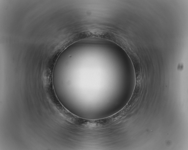 X0000090930464200708131457