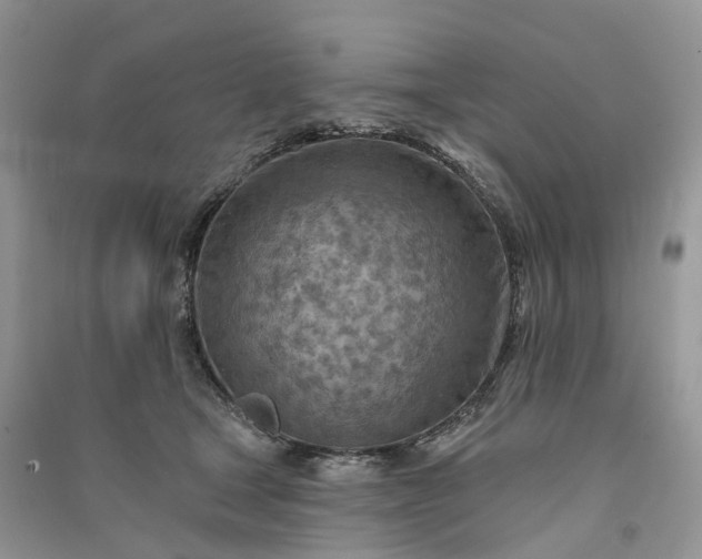 X0000090930465200708131457