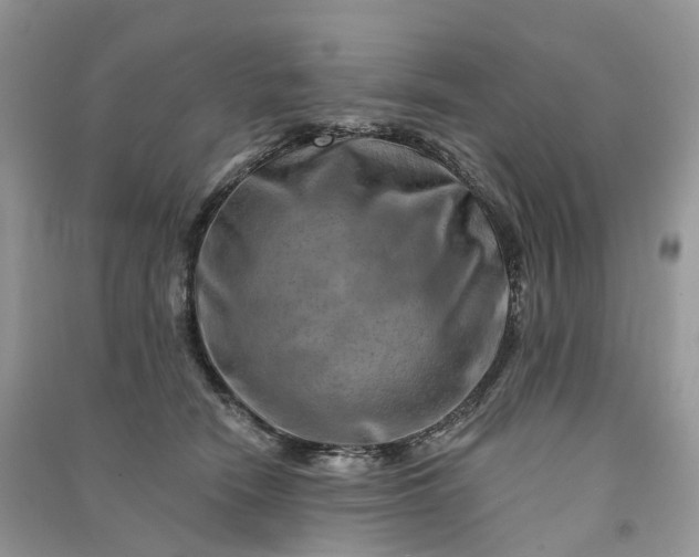 X0000090930466200708131457