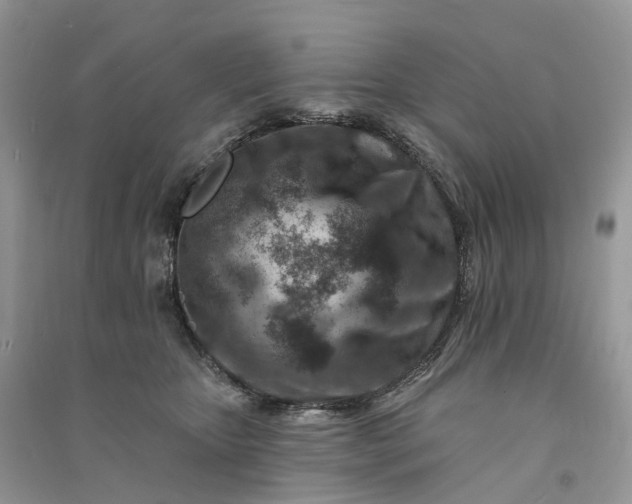 X0000090930467200708131457