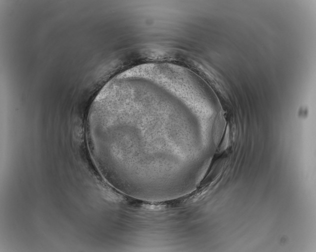 X0000090930469200708131457