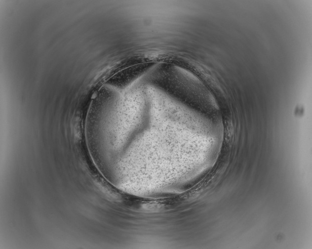 X0000090930470200708131457