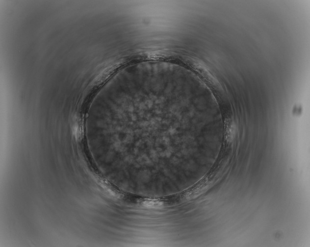 X0000090930471200708131457