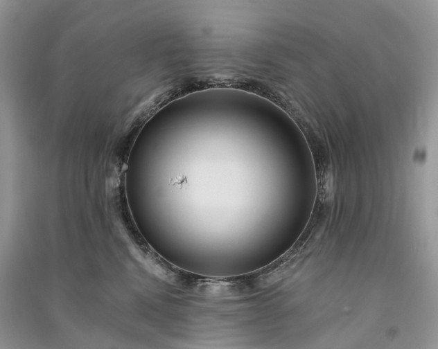 X0000090930472200708131457