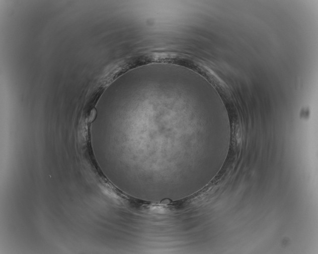 X0000090930475200708131457