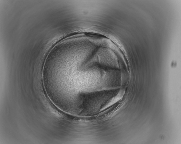 X0000090930481200708131457