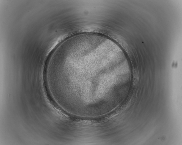 X0000090930482200708131457