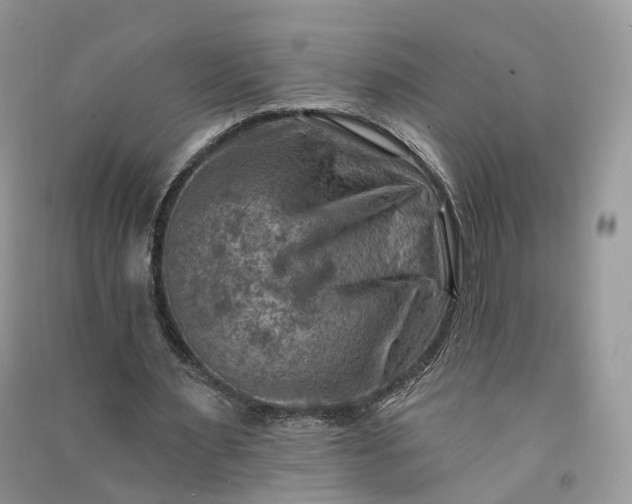 X0000090930483200708131457