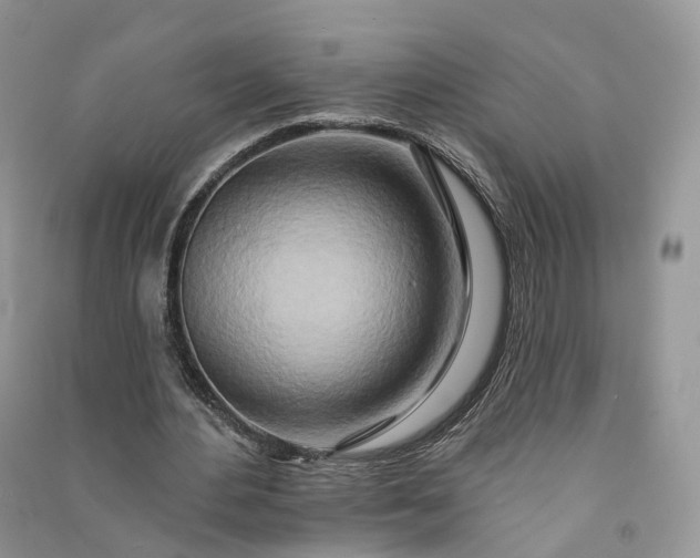 X0000090930484200708131456