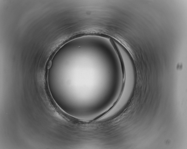 X0000090930485200708131456