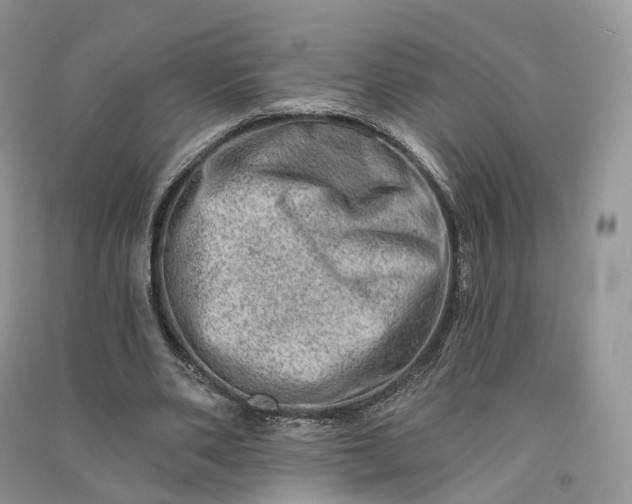 X0000090930486200708131456