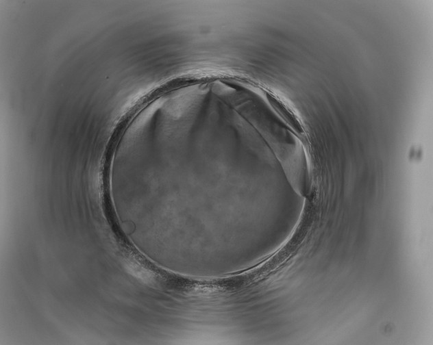 X0000090930487200708131456