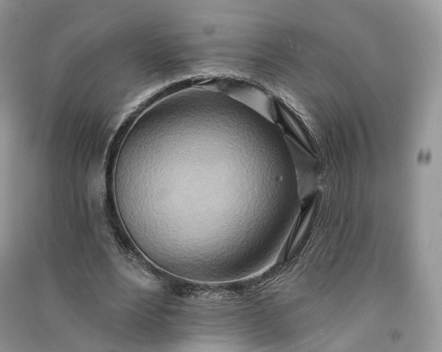 X0000090930488200708131456