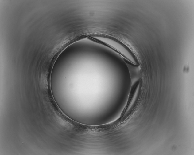 X0000090930489200708131456