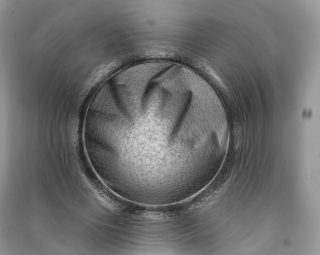 X0000090930490200708131456